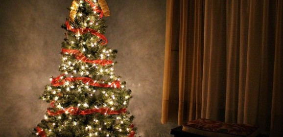 Bradul de Crăciun: o tradiție izvorâtă din Reformă și devenită universală